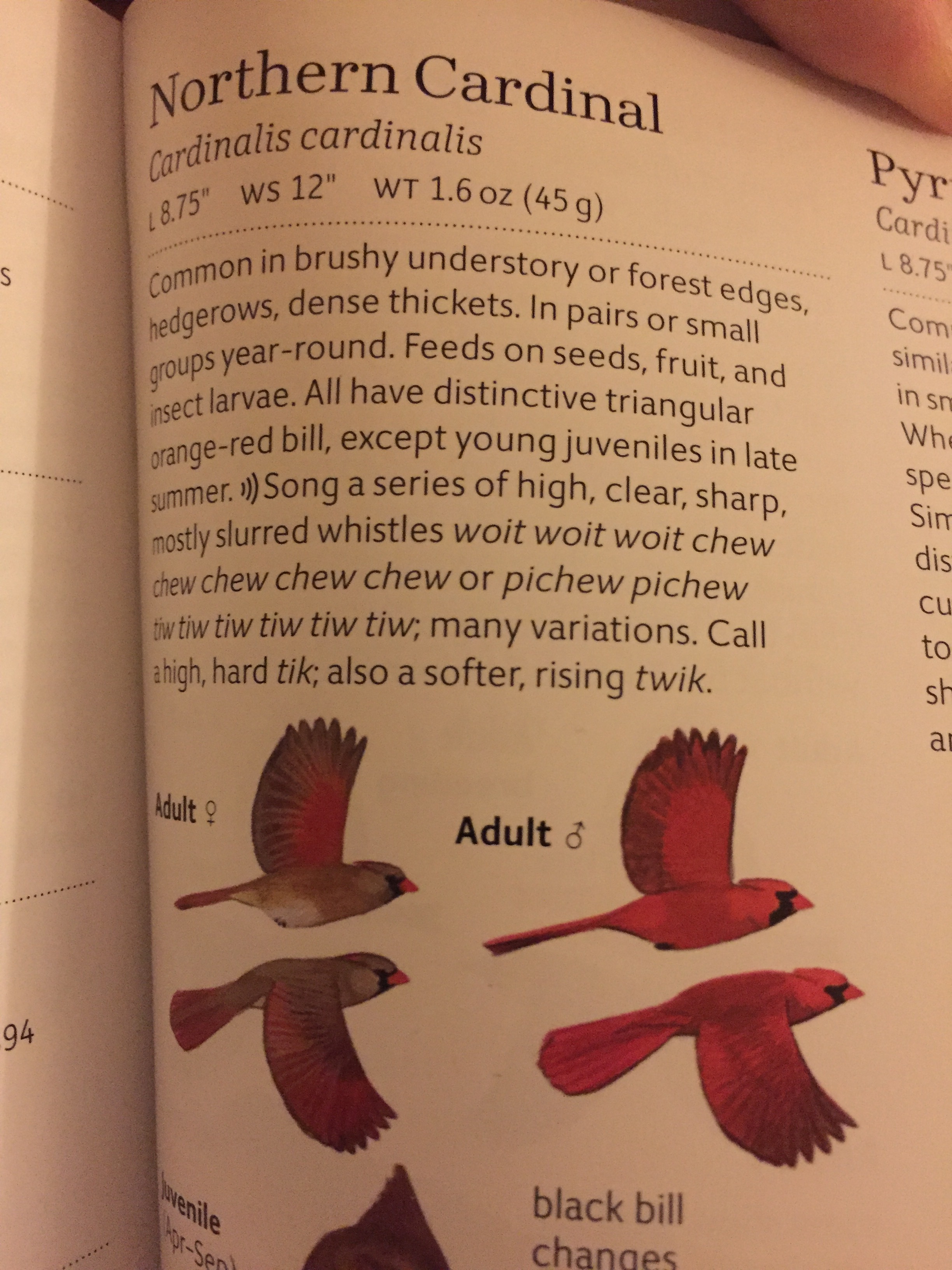 Practice your call